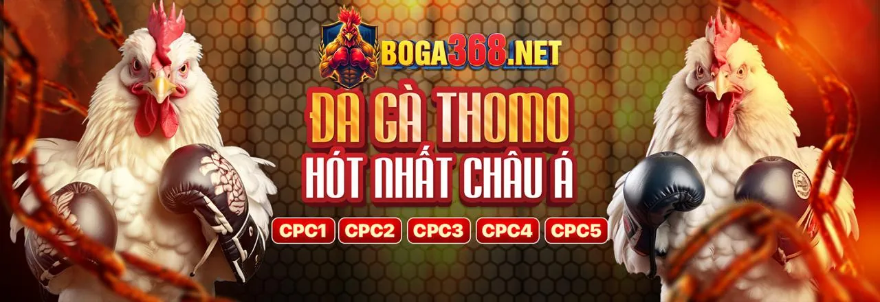 Tin tức Socvip APK mới nhất 2026